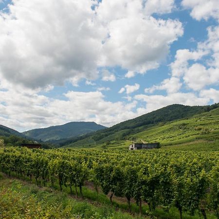 La Maison Jaune Ammerschwihr Bagian luar foto