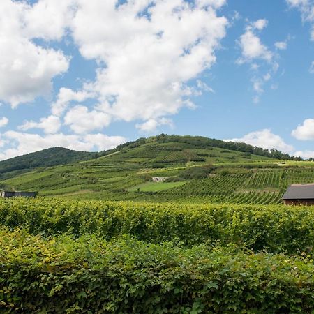 La Maison Jaune Ammerschwihr Bagian luar foto